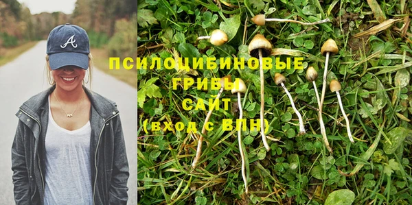 PSILOCYBIN Михайловск