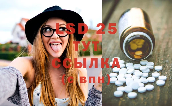 PSILOCYBIN Михайловск