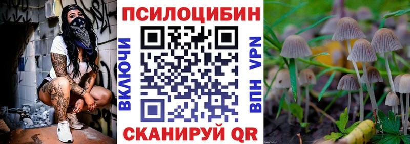 блэк спрут маркетплейс  сколько стоит  Кольчугино  Галлюциногенные грибы мухоморы 