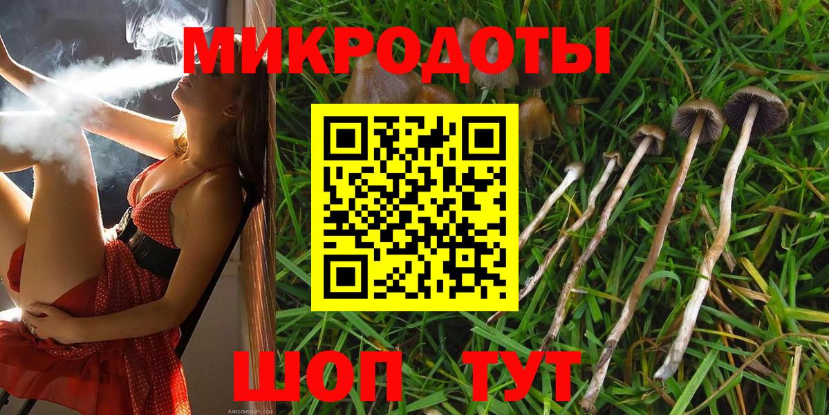 Галлюциногенные грибы Psilocybine cubensis Кольчугино