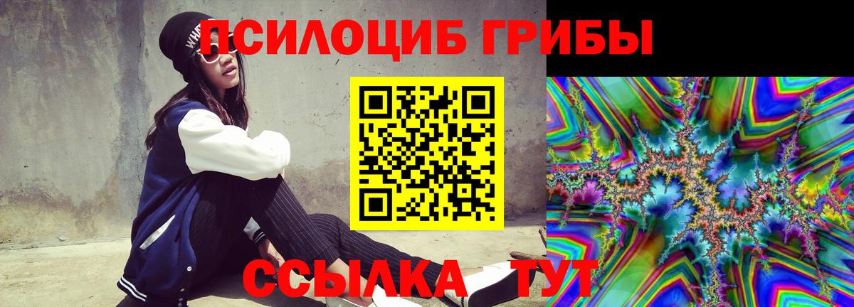 Псилоцибиновые грибы мицелий Кольчугино