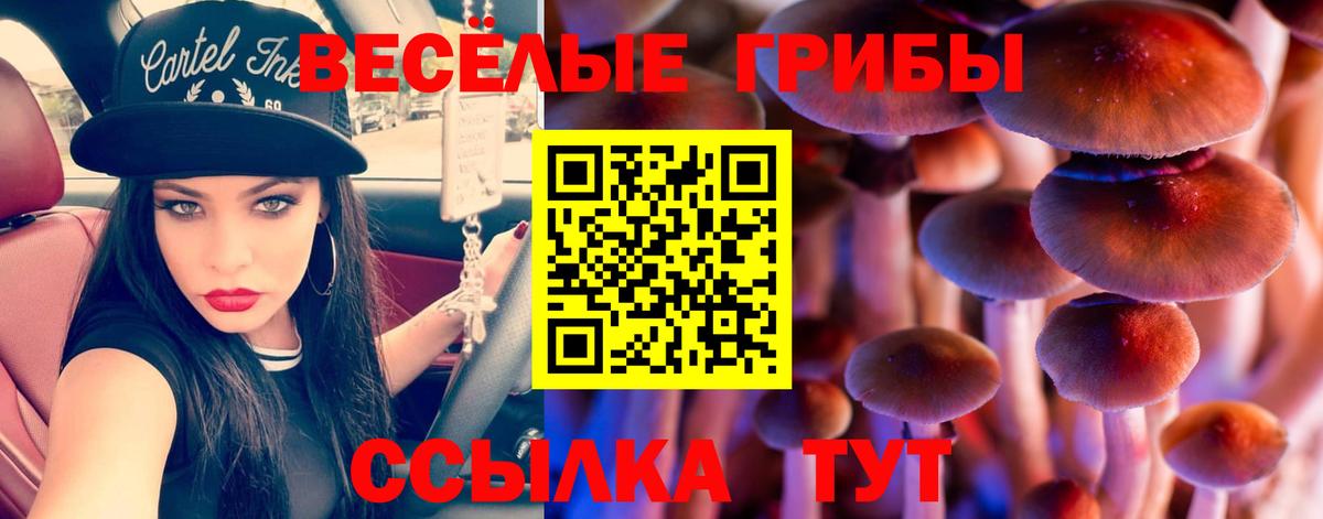 Псилоцибиновые грибы ЛСД  Вход с VPN  Кольчугино 